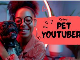 A girl holding a small puppy, symbolizing the charm of the cutest pet YouTubers.